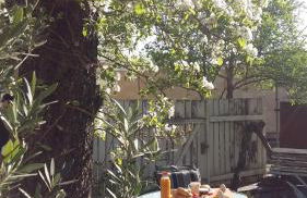 Villa "Schöni" - Foto 23