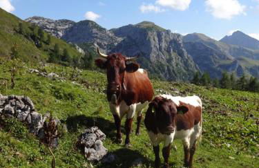 Malterlehen-Berchtesgaden - Foto 6