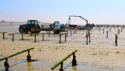 Villa DES COEURS NORMANDS - Photo 2