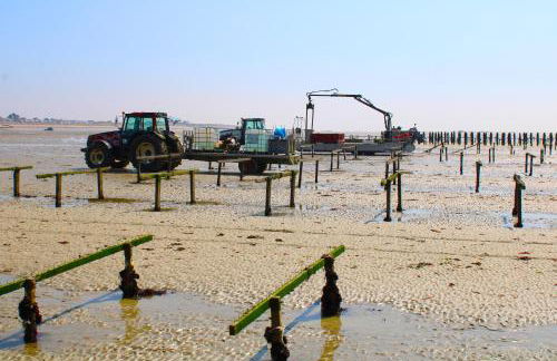 Villa DES COEURS NORMANDS - Foto 2