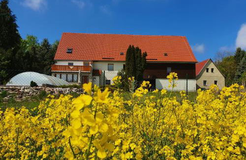 Alte Schäferei Bad Gottleuba - Foto 1