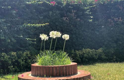 Le tre Palme - Foto 53