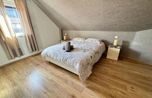 Le manoir Obernois - 5mn du centre - 10 pers. - Foto 19