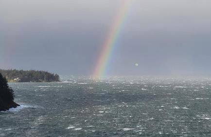 Sunny Island Cliff Side Views - Foto 42