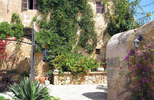 Finca Sa Cova Vella - Photo 54