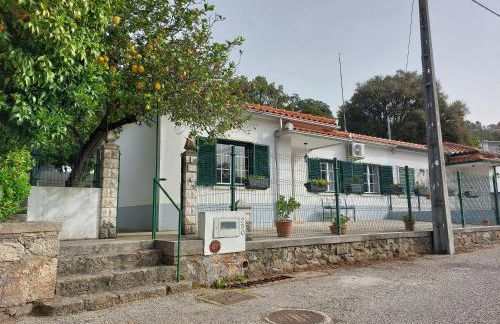 Casa Rio Zêzere - Foto 73