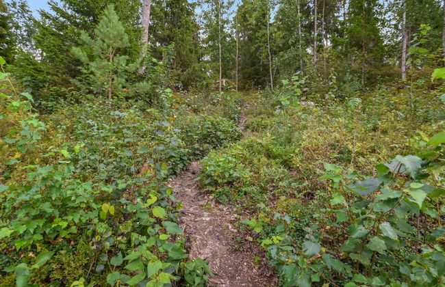 Isokoskelo 5 - Foto 27