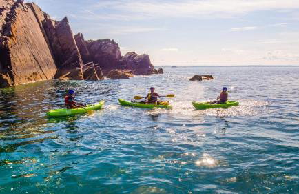 1 Bed in Haverfordwest oc-61170 - Foto 13