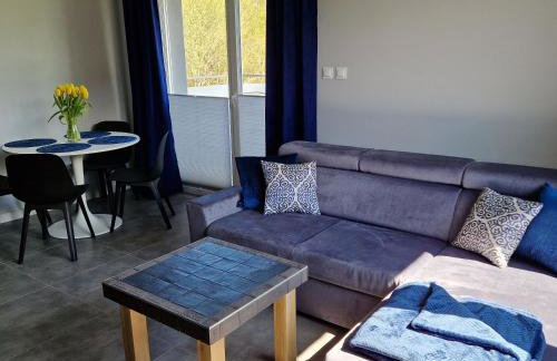 Apartament Brzózka - Foto 9