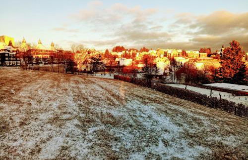 Ferienwohnung Waldblick im Haus Ludwig - Foto 8