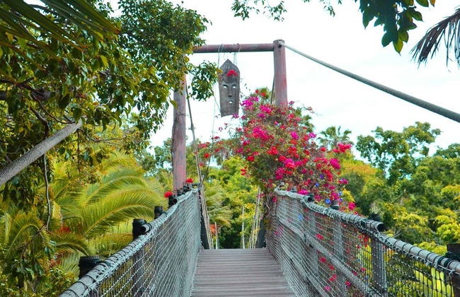 Jungle Park - Foto 7