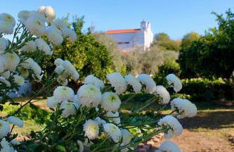 Mileu slowhouse - Foto 10