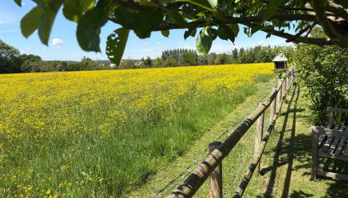 April Cottage Meadow Studio - Photo 2