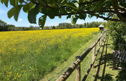 April Cottage Meadow Studio - Foto 2