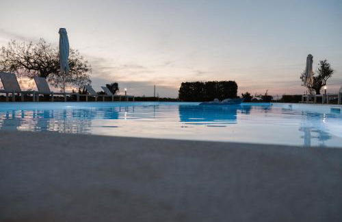 Gli Ulivi di Gino - Foto 18