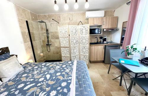 Les Appartements du Mas - Studio Améthyste - Foto 8