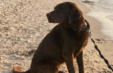 Apartamenty nad morzem Przy Klifie 2 Dębina - Foto 67