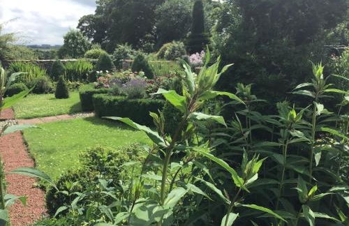 Historic converted byre in courtyard of 16C house - Foto 7