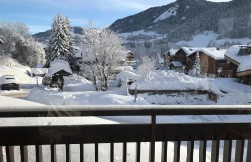 Le Clos d'Arly - Foto 11