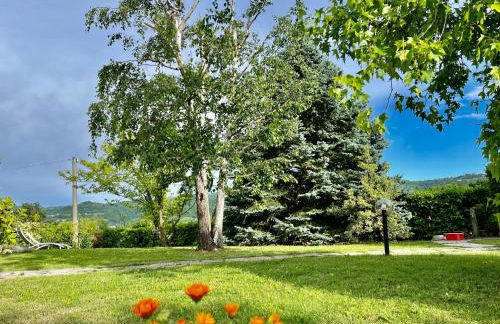 Casa Arcobaleno Holiday home apartments - Foto 24