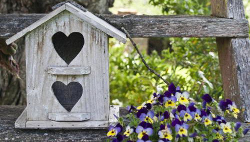 Il Vecchio Milipano - Foto 2, Garden