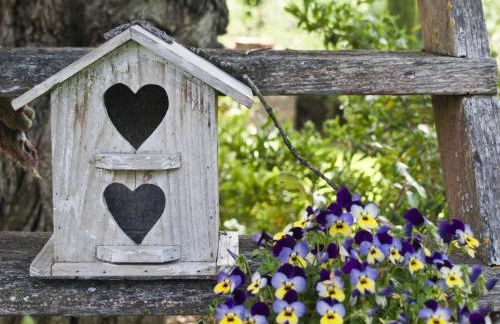 Il Vecchio Milipano - Foto 2