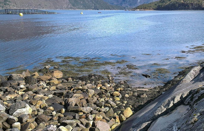 6 Person Holiday Home in Halsanaustan - Photo 25