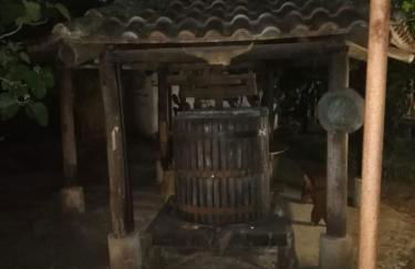 L' Agrumeto - Photo 9