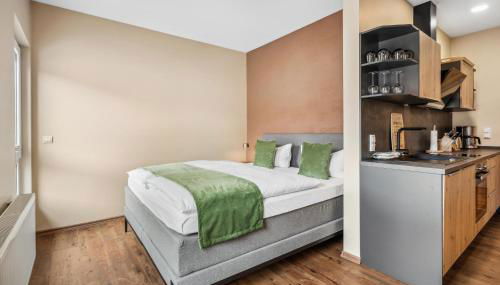 Haus Alte Schmiede Apt5 - Foto 5