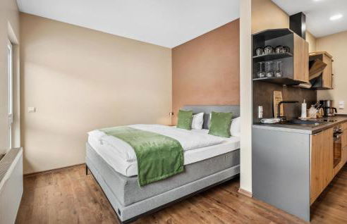 Haus Alte Schmiede Apt5 - Foto 5