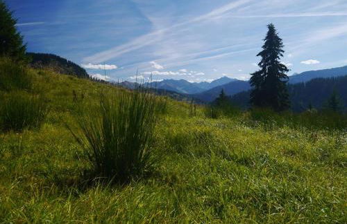 Alte Schmiede - Photo 27