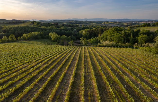 Villa Noemi - Foto 39