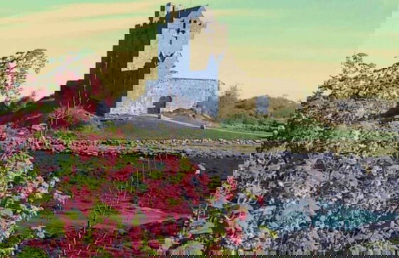 Kinvara Hideaway - 4 Guests - Near Galway - Foto 15