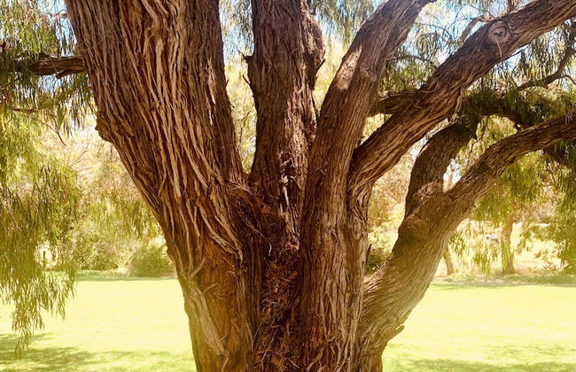 Spring Bay Villas - Foto 73