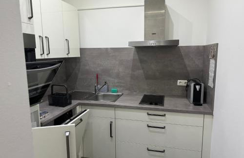 Luxuriöse Wohnung mit eigenem Garten - Foto 11