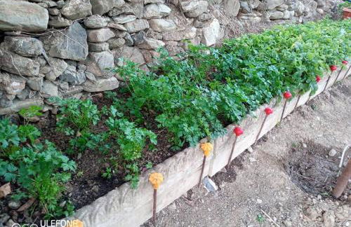 Agriturismo a Canonica - Foto 11