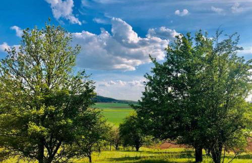 Ferienwohnungen GoJa - Foto 58