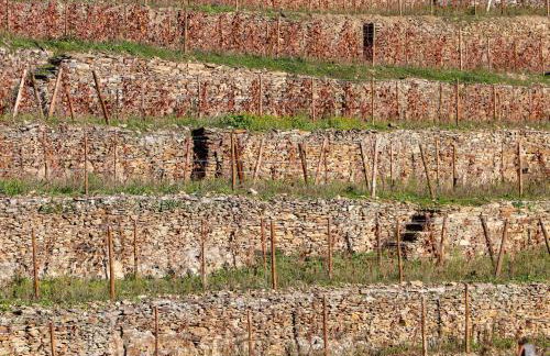 Quinta da Padrela Vineyard House - Foto 26