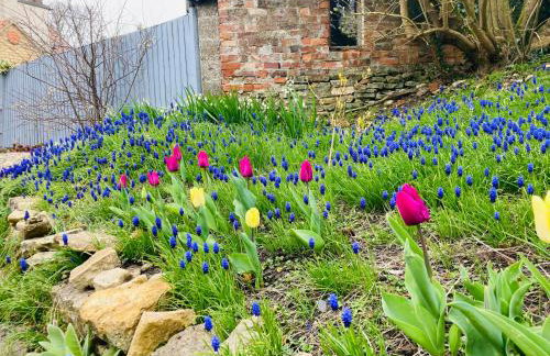 Capella Cottage, 2 Bedroom, Sleeps 4 - Foto 31