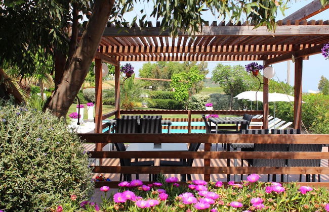 Oca Giuliva - Foto 33