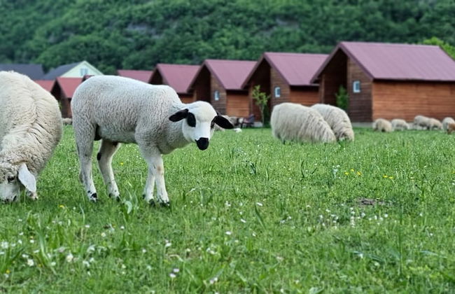 Eko Katun ROSI - oldTower - Foto 1