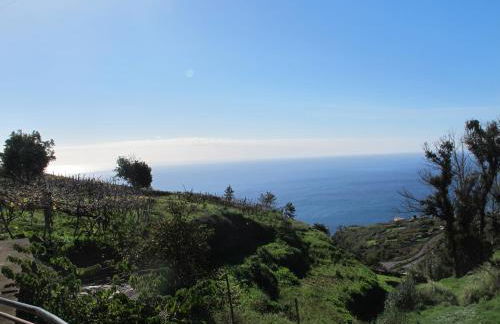 Blooming Botanic Houses - Foto 28