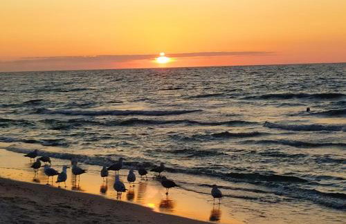 Słoneczna Sarbinówka - Foto 70