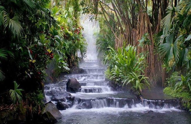 Luxe! Impressively designed 2nd-floor unit in Coco done in red and orange hues - Photo 31