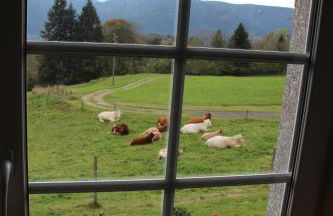 viaux-fontaine - Foto 8