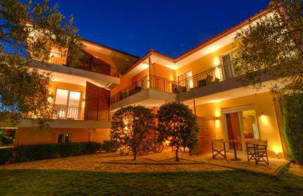 Agroktima Elia - Foto 5