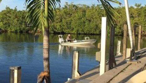 Insta Worthy Modern Bungalow - Foto 5