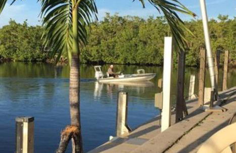 Insta Worthy Modern Bungalow - Foto 5