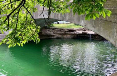 Modern/ parking/Eden Park/near Downtown/ FCC - Foto 33