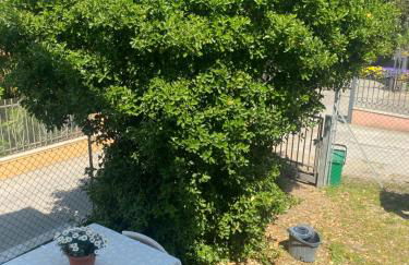 Casa Elisa 10 B - Foto 22